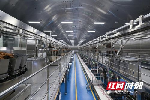 清華大學學子走進勁仔食品，共探“科研興企”新路徑